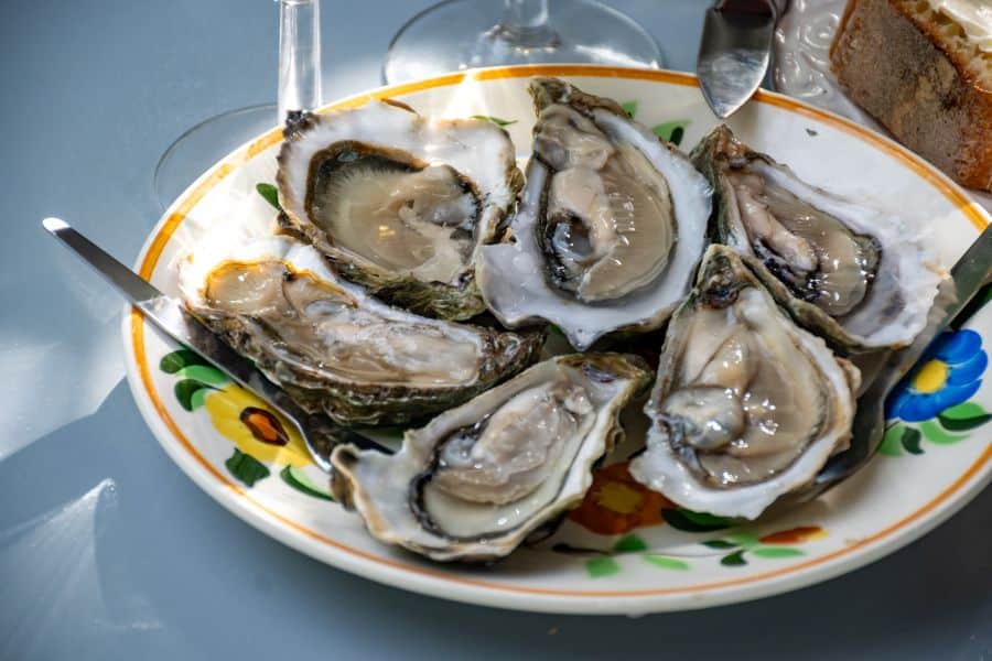 Brittany France food : oysters